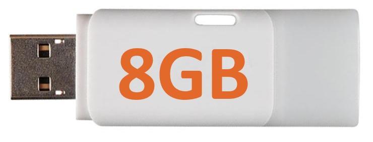 WGS-110 — 带盖且尺寸紧凑的塑料 USB 闪存驱动器。帽子固定在后面