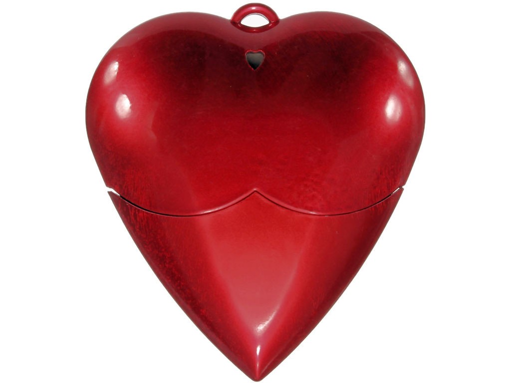 WGS-CORAZON